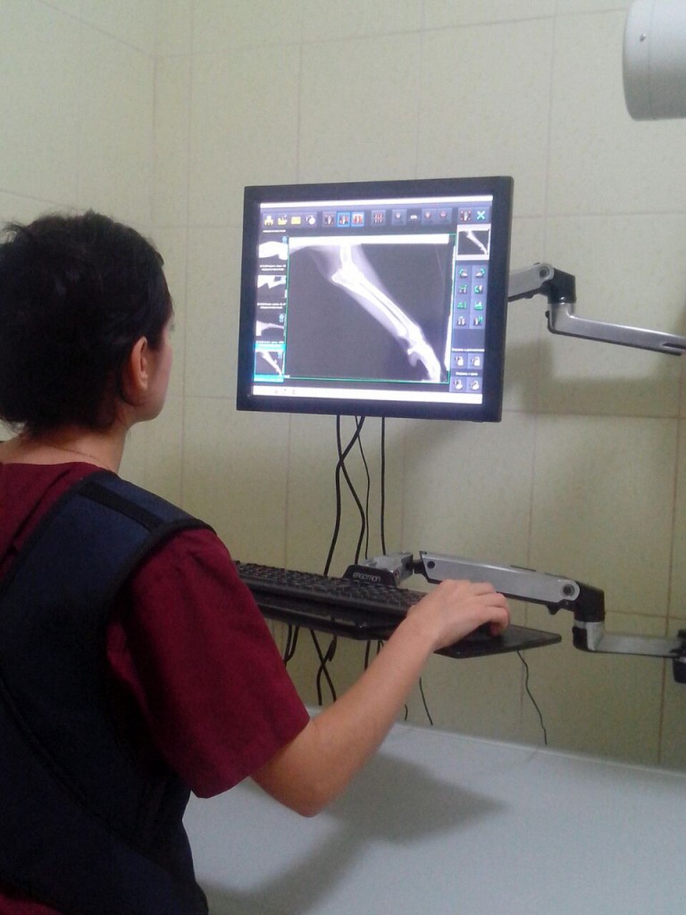 Стационарный комплекс прямой цифровой рентгенологии «EXAMION Maxivet 300HF FPS»